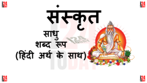 Sadhu Shabd Roop in Sanskrit